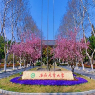 安徽農(nóng)業(yè)大學(xué) 